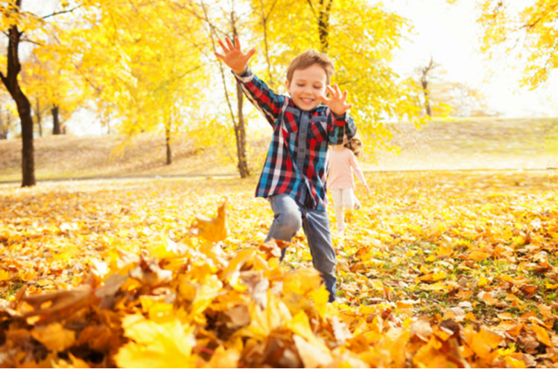 10 Fun Things To Do During The Fall Season